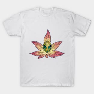 Alien Nabis - Warm T-Shirt